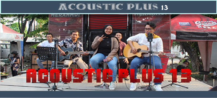 acoustic plus 13