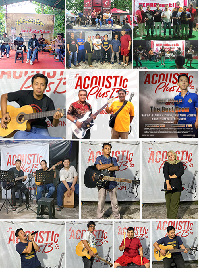 acoustic plus 13